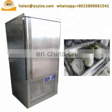 Industrial Fish or Meat or Seafood Storage Freezer Flash Ice Freezer Equipment
