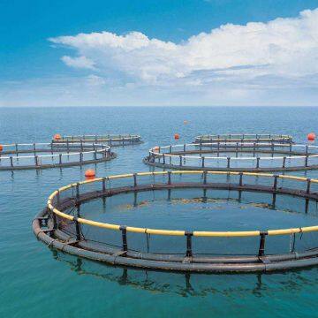 Round Floating Fish Cage Deep Sea Aquaculture Cage