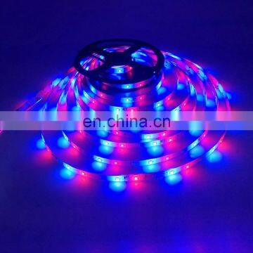 LED Strip 2835 Multi-Color Kit RGB Led Light Tape DC12V Waterproof Flexible LED Light Flexible With Remote Supply for Indoor