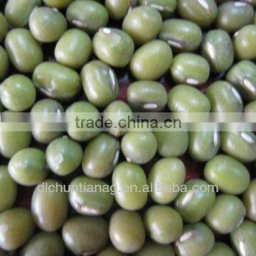 Chinese green mung bean