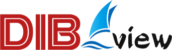 Hangzhou Dibview Technology Co.,Ltd