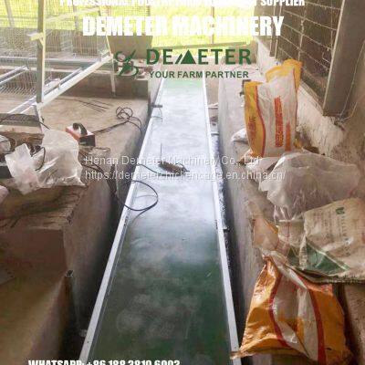 Chicken Cage Buy Chicken Battery Cage From China photo-4