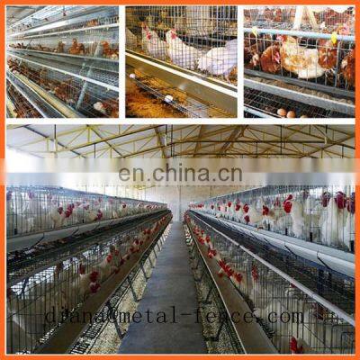High Quality Broiler Battery Cage/Layer Chicken Battery Cage/Automatic Poultry Layer Cages System photo-5