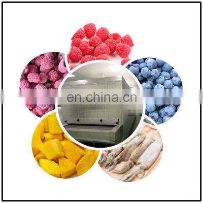 CE Seafood IQF Fluidized Bed Iqf Freezer Fish Machine Fish Quick Freezing Machine