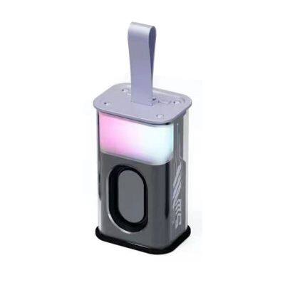 Wholesale Transparent Case Music Player Box Low Frequency Diaphragm Design Wireless 5.0 Multimedia Tws Gaming BT PortableSpeaker