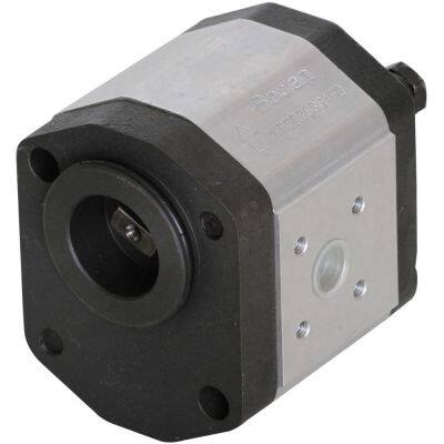 BHP2Q2 Internal Gear Pump for Rolling Machine