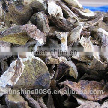 High Quality Dried Porcini/ White Boletus In Bags photo-4