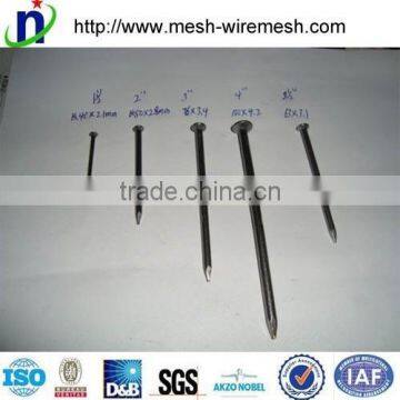 round head Common Nails,square boat nail,roofing nails                        
                                                Quality Choice