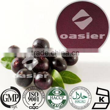 100% Natural Acai Berry Extract 4:1 10:1 Euterpe Oleracea L.