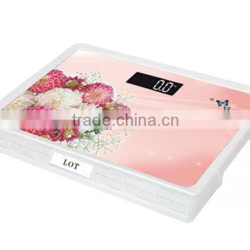 Electronic Weighing Scale photo-4