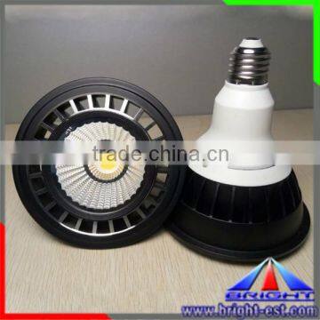 China supplier plastic type led Par light, led Par38 spotlight, led COB chip spot light E27