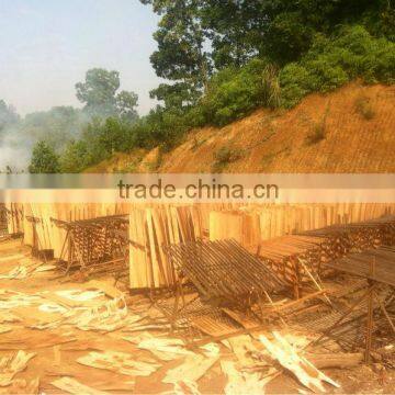 Eucalyptus Core Veneer photo-5