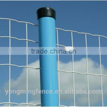 Wire mesh euro fence