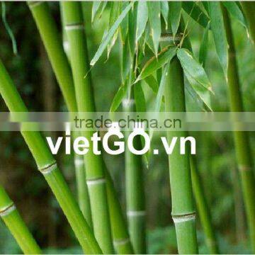 Vietnam Natural Bamboo Pole