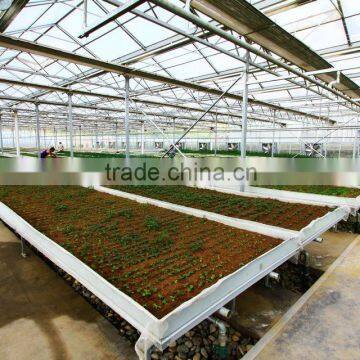 Large Span Glass Multi-span Greenhouse photo-5