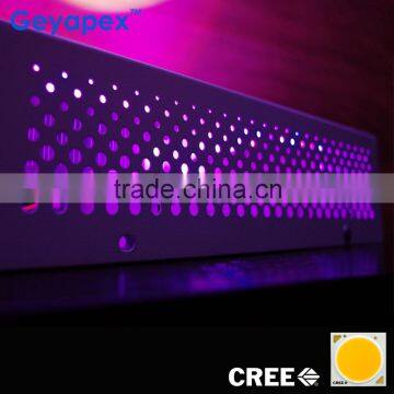 Newest Geyapex 300w SOLO LED Plant Grow Light with 12 Bands Wavelength