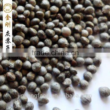 Perilla Seed for Sale photo-4