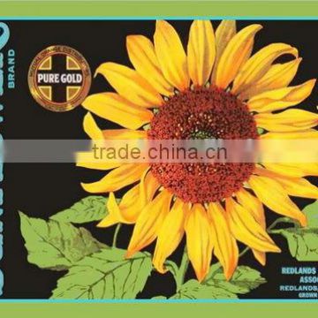 High Quality Printed Funny Color Changing sunflower bath mat.