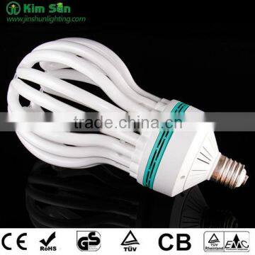 Lotus Energy Saving Light