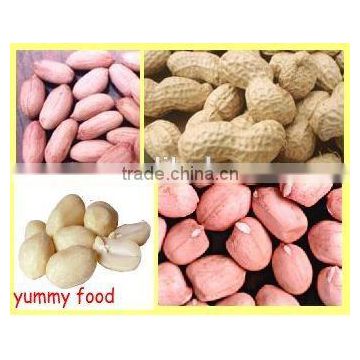 All Kinds Of red peanut kernels