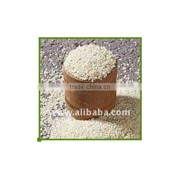 White Sesame Seeds