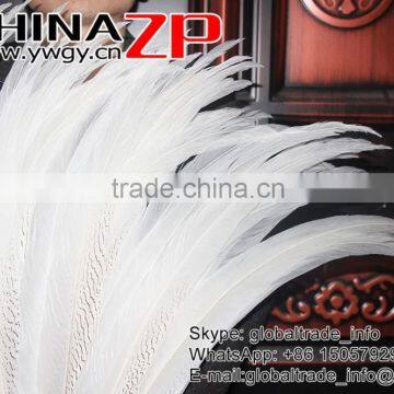 Top Supplier CHINAZP Bulk Sale Good Quality Wonderful Bleached White Long Silver Pheasant Tail Feathers Right photo-5