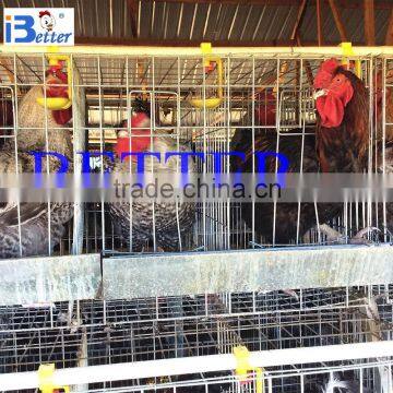 BT Factory hot-sale H type broiler chiken cages in Kenya