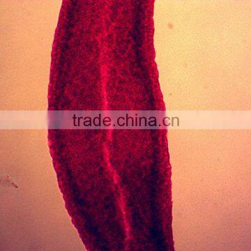 17pcs Indonesia Designated Mixed Microscope Research Glass Prepared Slides photo-4