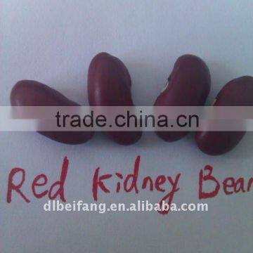 Dark Red Kidney Bean( British type, heilongjiang origin.hps)