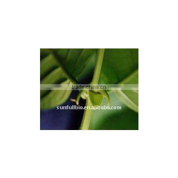 Uncaria tomentosa Plant Extract 10:1