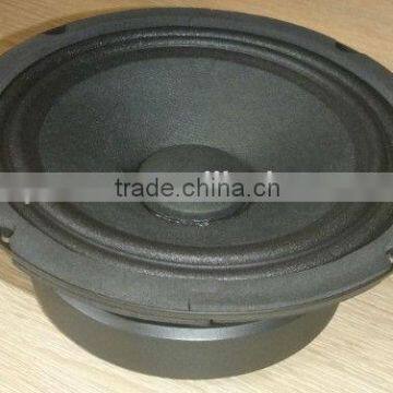 6.5 Inches Midrange Speaker (ZW166-98-A)