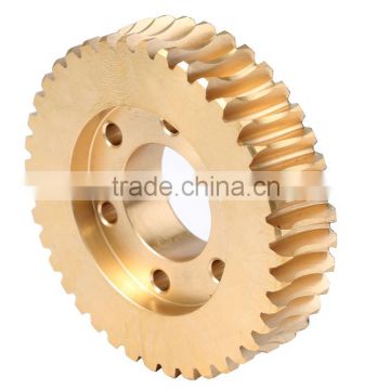 Brass bronze different head number worm gear and worm