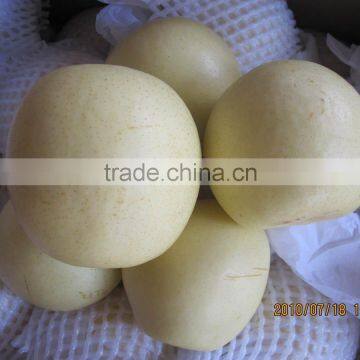 china ya pears