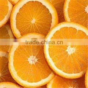 Fresh orange/Navel orange/citrus orange for sale