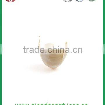 Fresh China Jinxiang New Crop Normal White Garlic photo-2