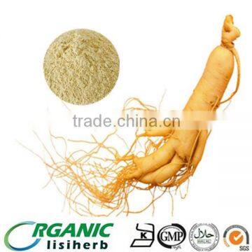 hot sale korean red ginseng root / ginseng root / fresh ginseng root