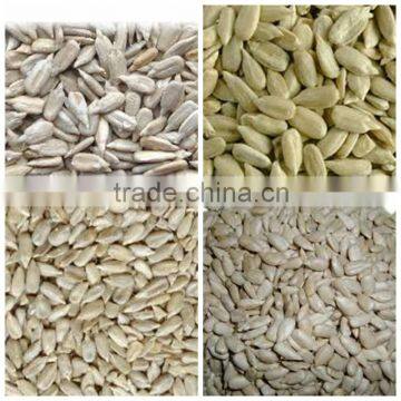 sunflower kernels from factory sunflower seeds manufacturer from china