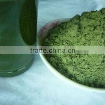 100% Purity Organic Barley Grass Powder photo-4