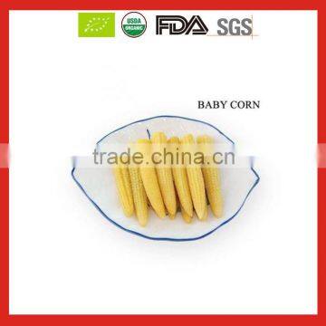 New Crop Seasonal Canned Baby Corn in Brine 2016