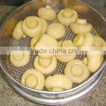 CAN ROUND CHAMPIGNON PREMIUM QUALITY CANNED FOOD FROM CHINA