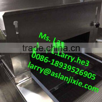 Hot Sale Industrial uv Food Sterilizer/uv Sterilizer Machine for Cans and Bottles photo-2