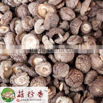 Free Shipping Premium Dried Shiitake Mushroom Dice With Low Prices photo-2