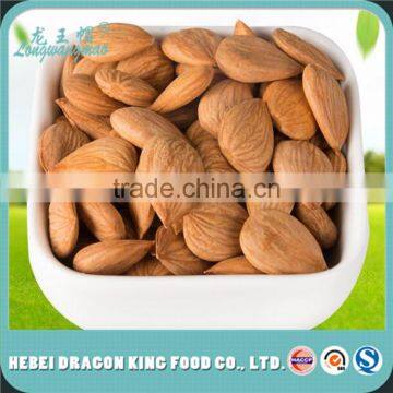 Hot Sale Bitter and Sweet Organic Apricot Nut for Snack and Beverage photo-3