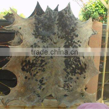 raw dry cow hides