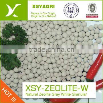Nature Zeolite Granular for Water Treatment Grey Color 2-5mm