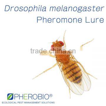 Pheromone Lure for Drosophila Melanogaster and Trap Set