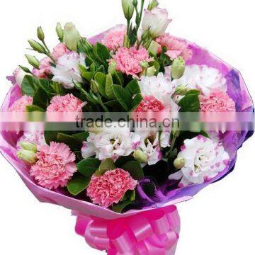 Big Discount Fresh Carnation Fresh Cut Carnation Fresh Flowers for Sale