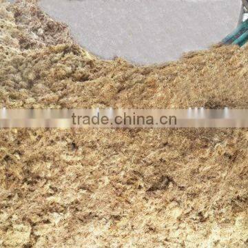 Palm Fiber Drying Plant photo-2