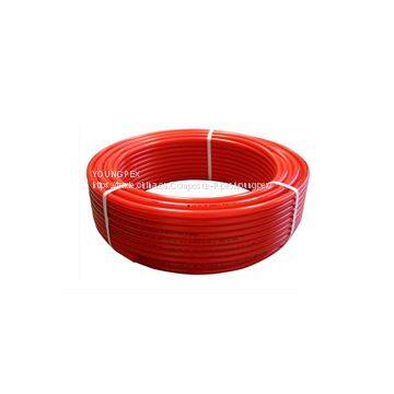 pex A
