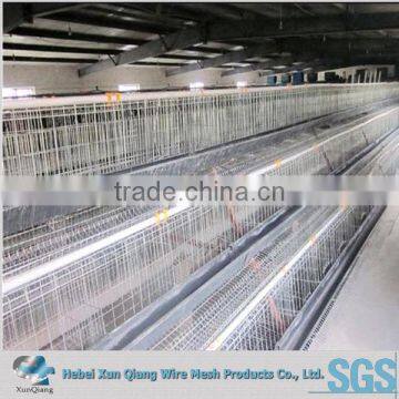 3 layer uganda poultry farm automatic chicken layer cage